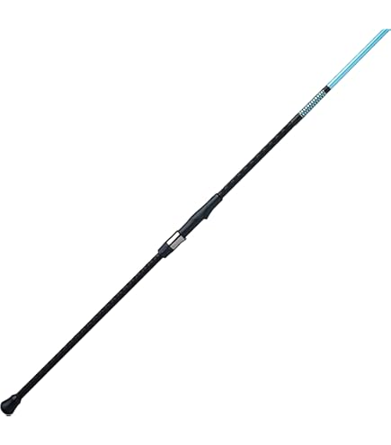 Amazon.com : Daiwa TD Surf Spinning Rod 9ft Medium Heavy 2 Piece